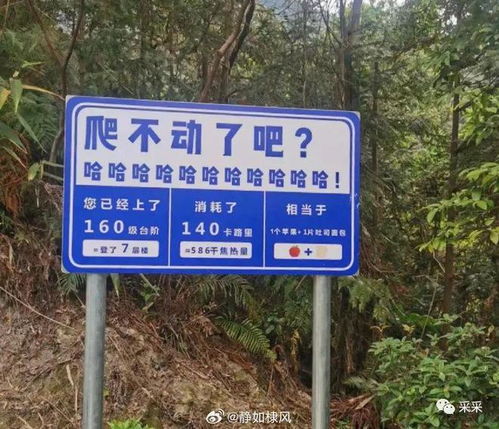 你的城市地標(biāo)路牌有多整活？搞笑路牌合集盤點